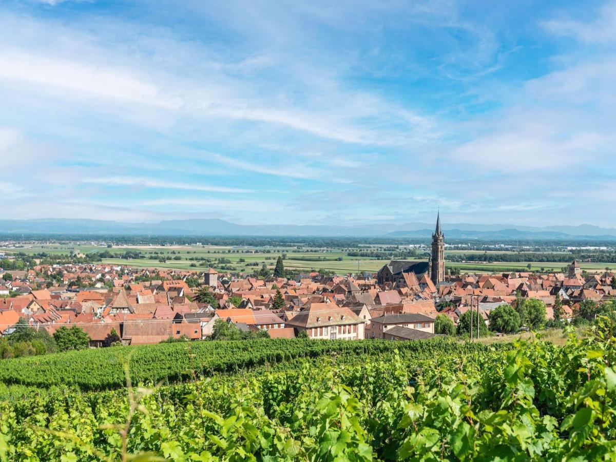 Charming Gite In Dambach La Ville With Terrace מראה חיצוני תמונה